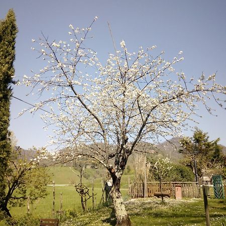 B&B Le Due Volpi Vicchio Luaran gambar