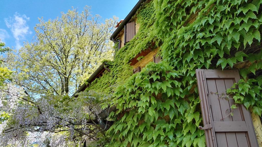 B&B Le Due Volpi Vicchio Luaran gambar