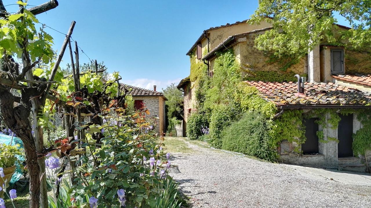 B&B Le Due Volpi Vicchio Luaran gambar